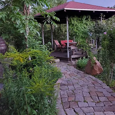 Gnubbel Am Wald