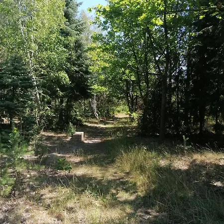 Gnubbel Am Wald *