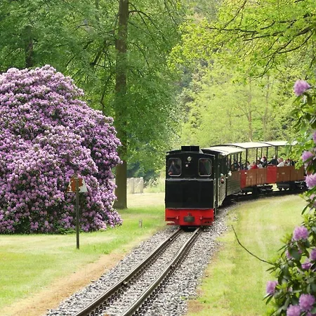 Gnubbel Am Wald Weisswasser