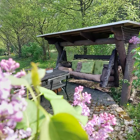 Gnubbel Am Wald