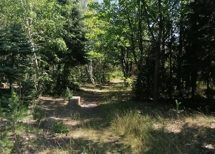 Gnubbel Am Wald *