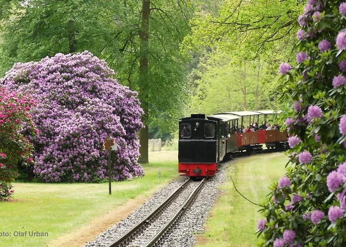 Gnubbel Am Wald فايسفاسر