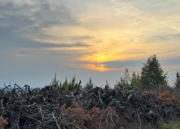 Gnubbel Am Wald شقة فايسفاسر