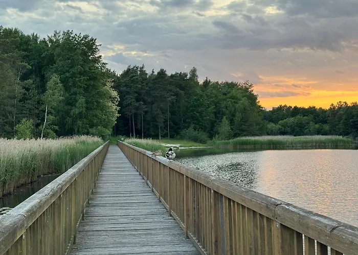 Gnubbel Am Wald فايسفاسر
